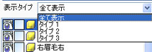 表示タイプ