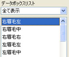 データボックスリスト
