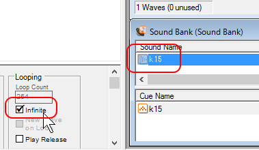 「Looping」が「Infinite」にチェック