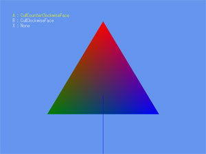 CullMode.CullCounterClockwiseFace(面の表)